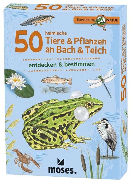 Spiel 10290.0